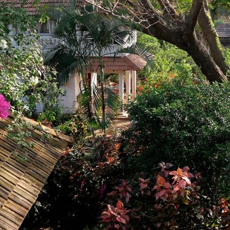 Gaia'S Garden Guest House Оровілль Екстер'єр фото