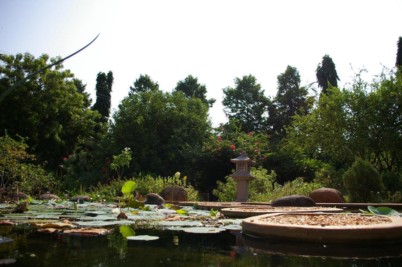 Gaia'S Garden Guest House Оровілль Екстер'єр фото