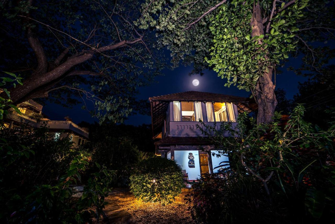 Gaia'S Garden Guest House Оровілль Екстер'єр фото