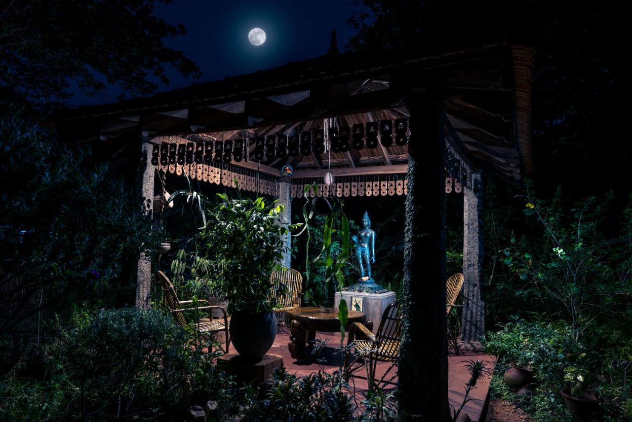 Gaia'S Garden Guest House Оровілль Екстер'єр фото