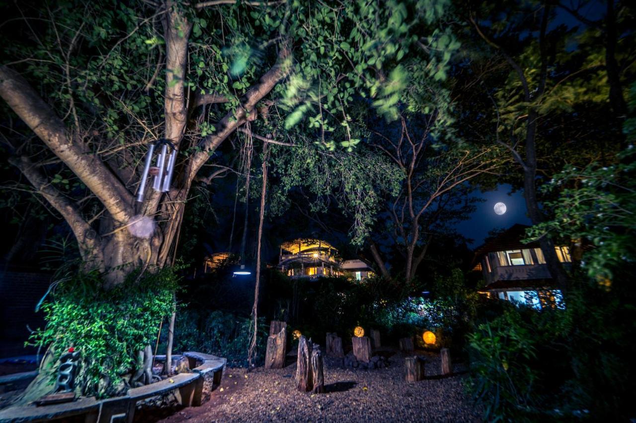 Gaia'S Garden Guest House Оровілль Екстер'єр фото