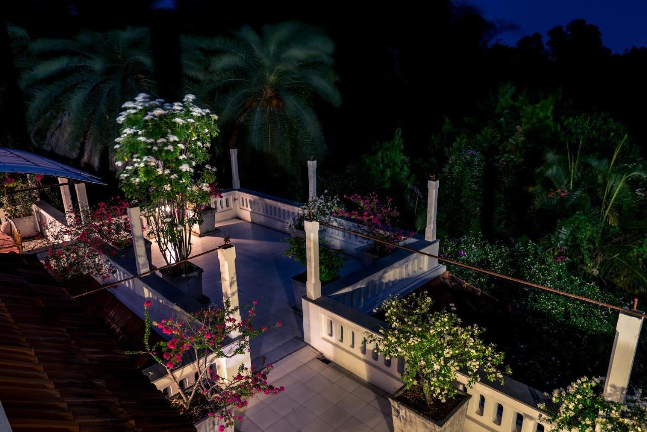 Gaia'S Garden Guest House Оровілль Екстер'єр фото