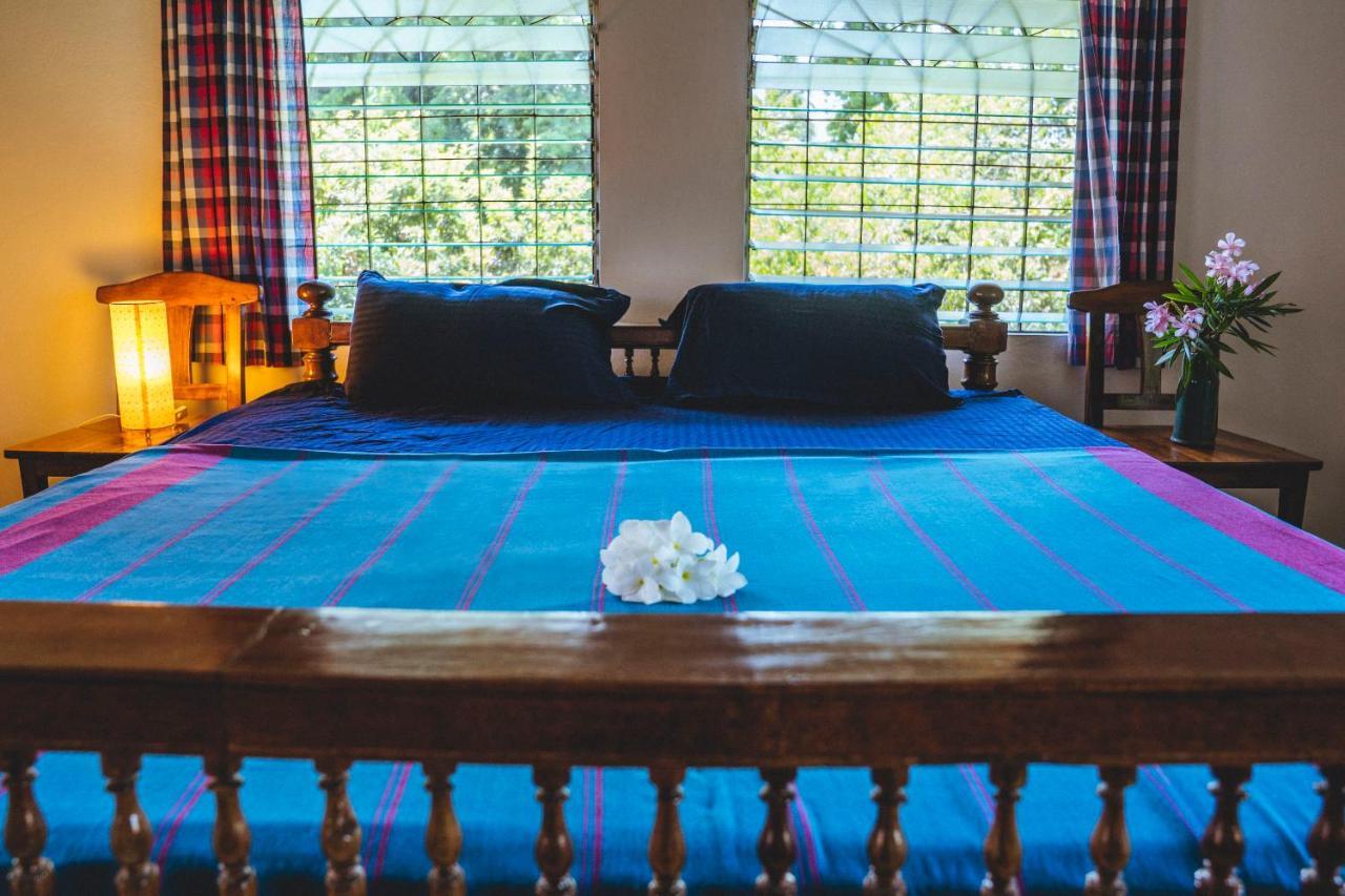 Gaia'S Garden Guest House Оровілль Екстер'єр фото