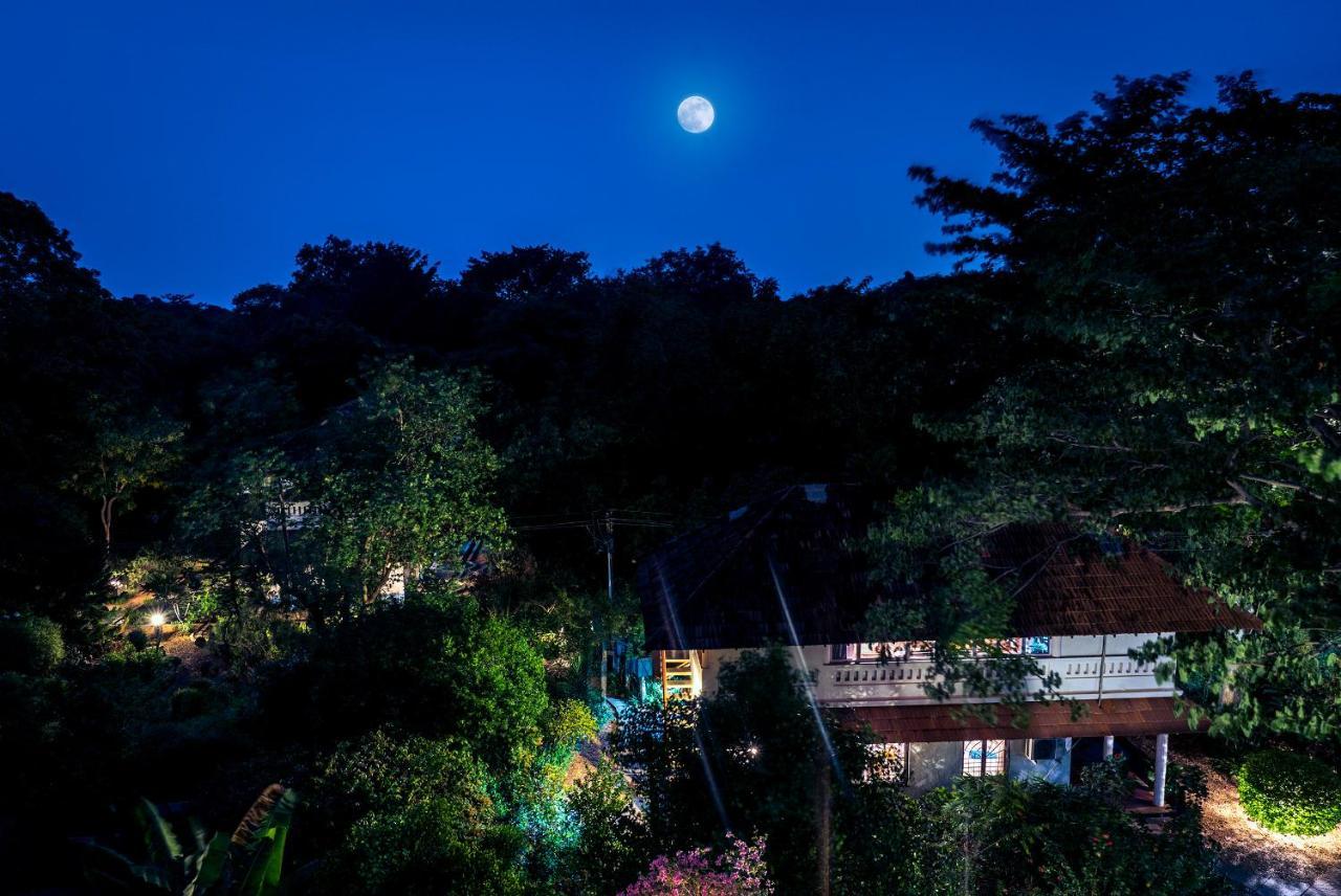 Gaia'S Garden Guest House Оровілль Екстер'єр фото