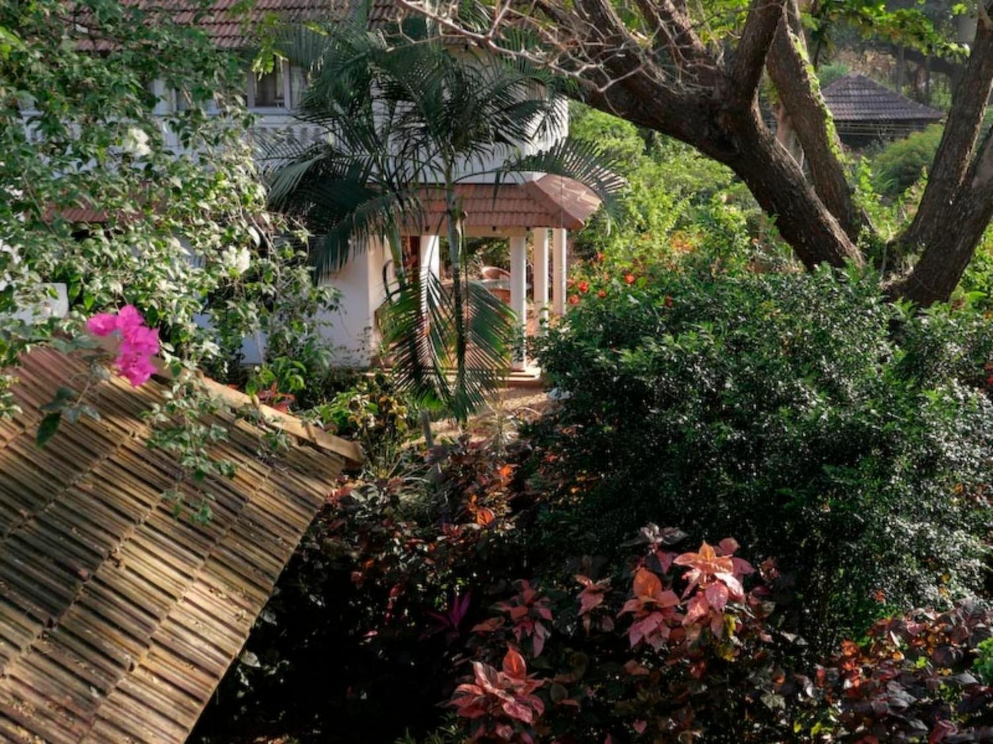 Gaia'S Garden Guest House Оровілль Екстер'єр фото